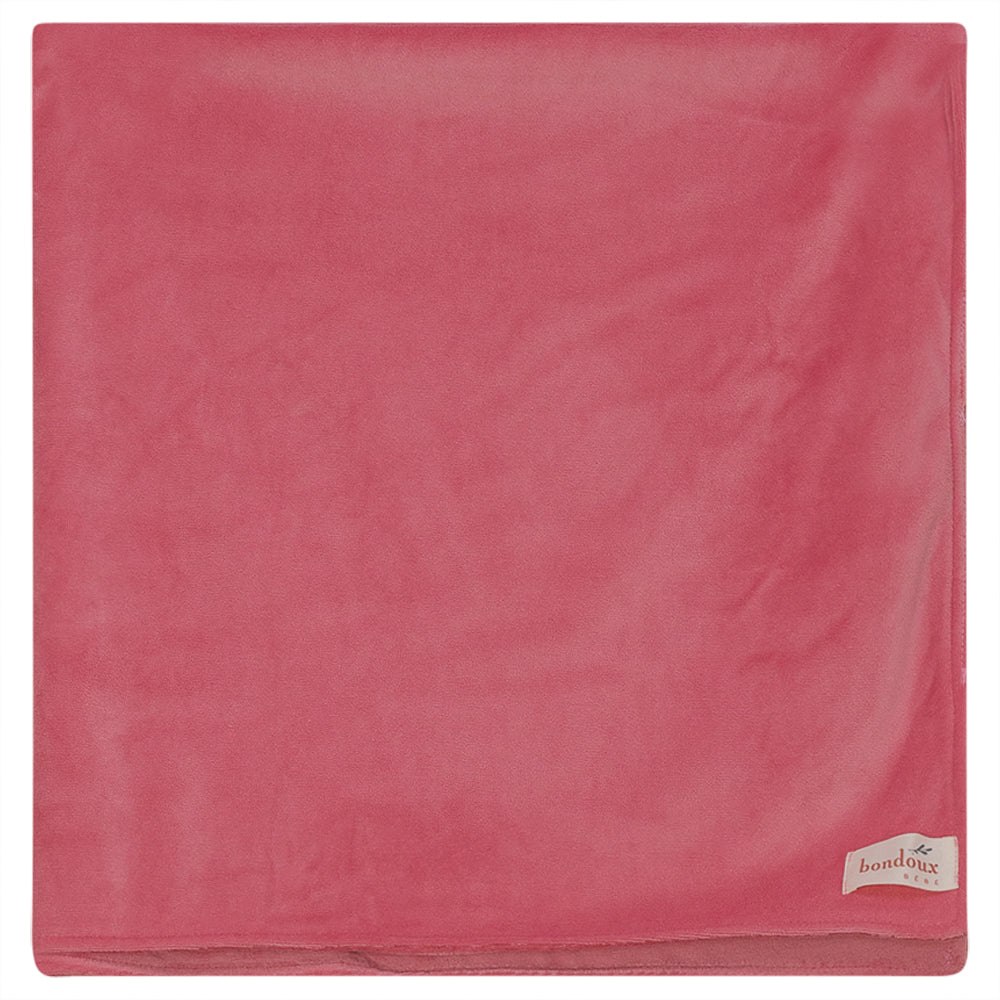 Bondoux 'Little' Embroidery Velour Blanket